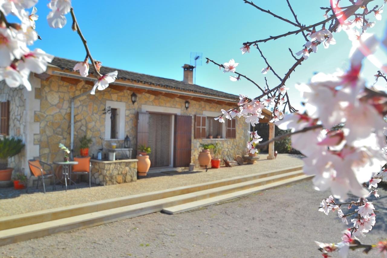 078 Finca Sa Rota Vt1953 By Mallorca Charme Ariany Eksteriør billede